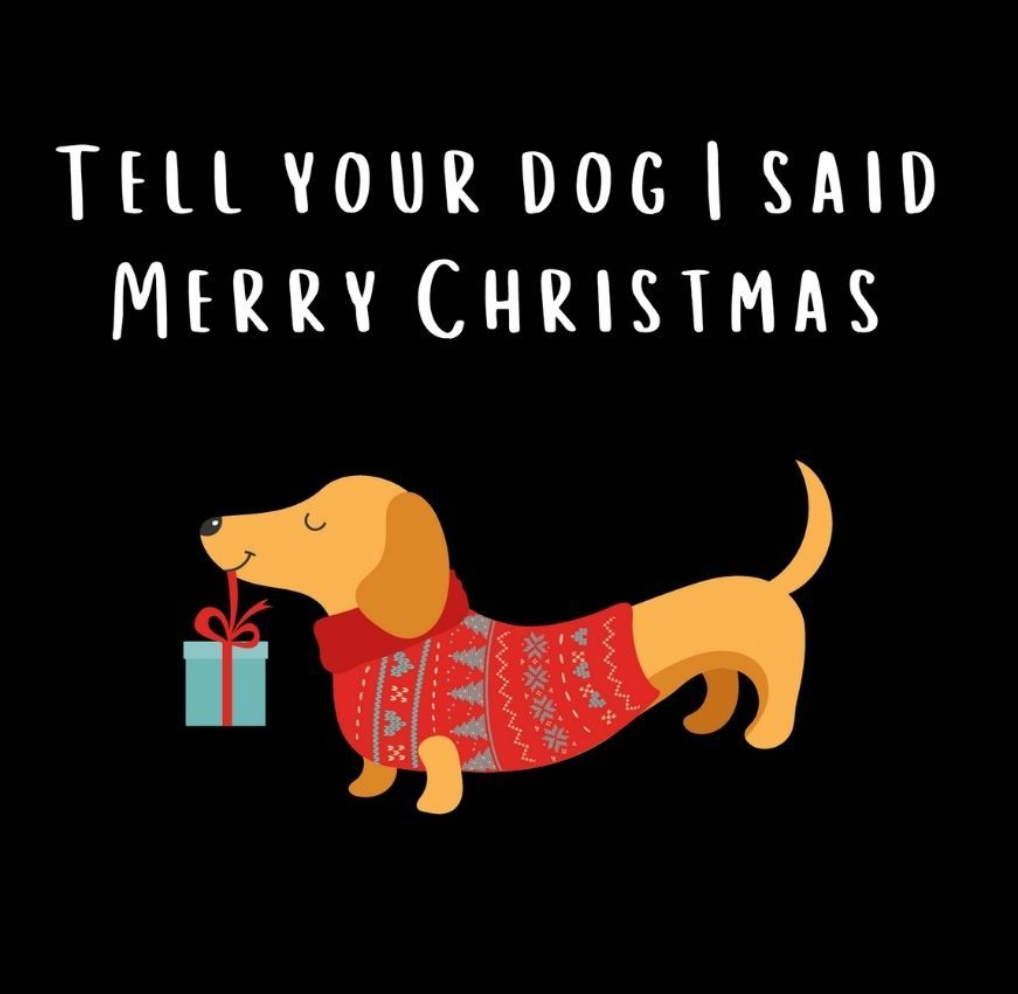 Christmas gift guide - Doggy style