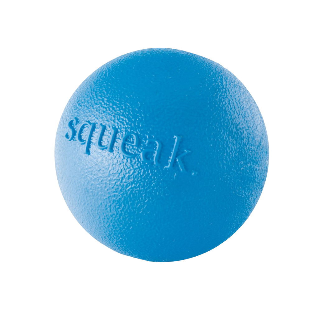 Planet Dog orbee-tuff squeak ball - blue
