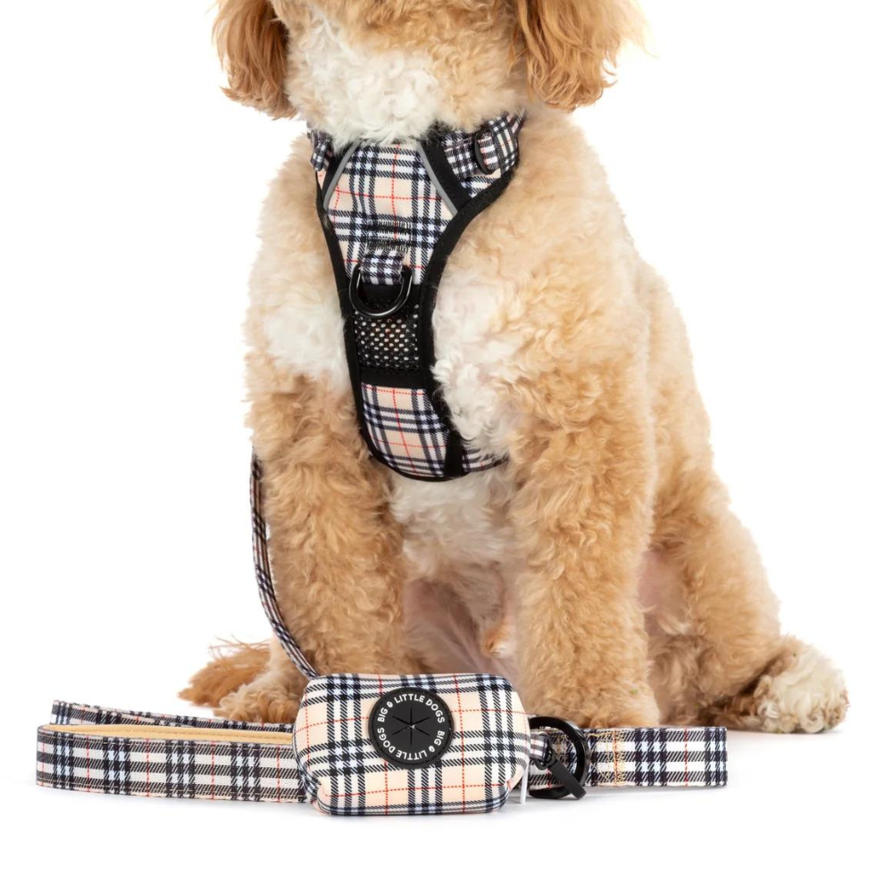 Big and Little Dogs all-rounder harness - Nova plaid