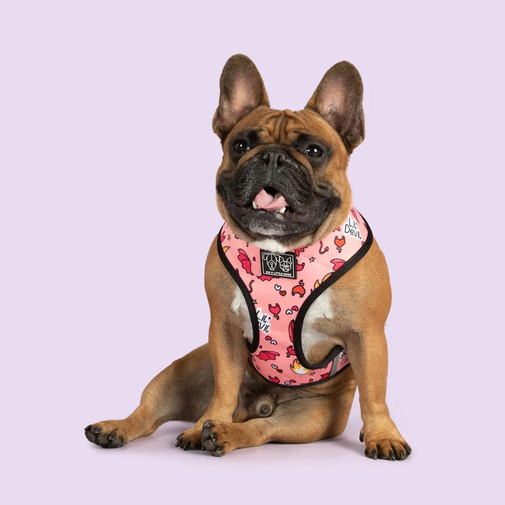 Big and Little Dogs reversible harness - Lil angel vs lil devil