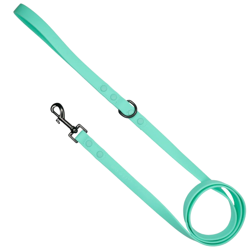 Big and Little Dogs waterproof leash - teal