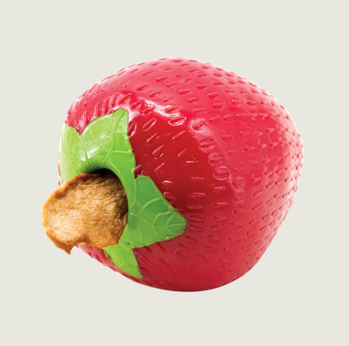Planet Dog orbee-tuff strawberry