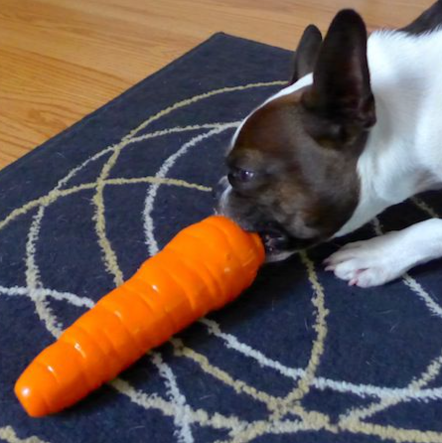 Planet shop dog carrot