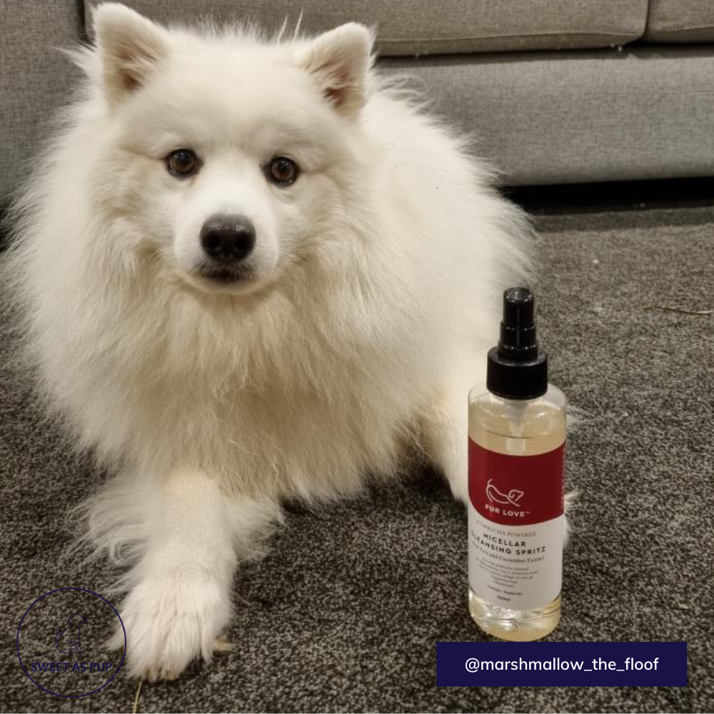 Fur Love kombucha powered micellar cleansing spritz for dogs