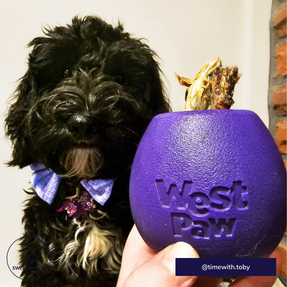 West Paw Zogoflex Rumbl dog feeder - Purple