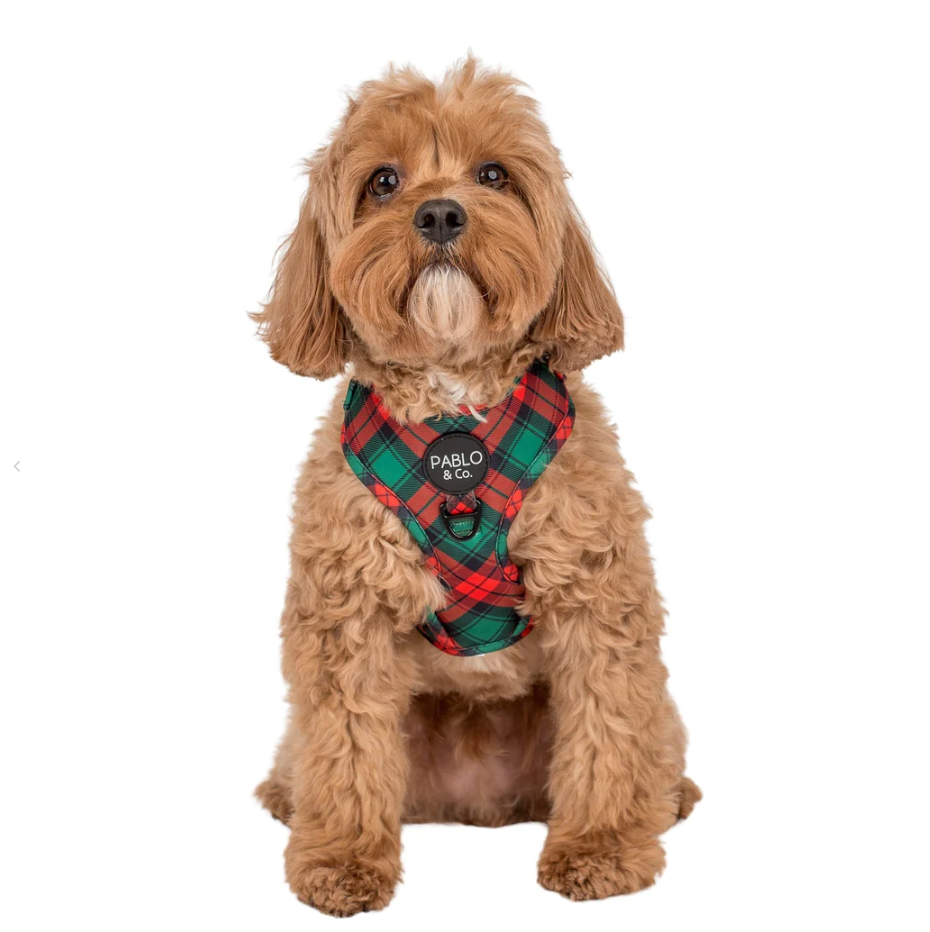 Pablo Co adjustable dog harness Winston plaid Sweet As Pup