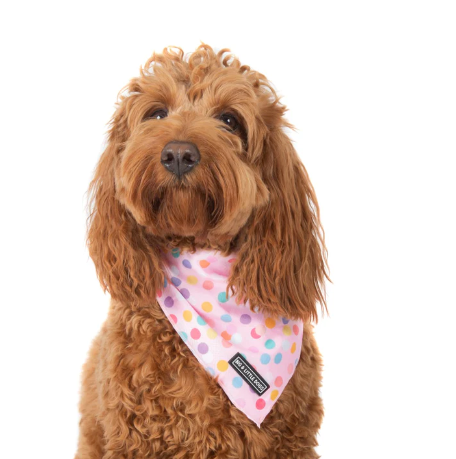 Big and Little Dogs bandana - Pink confetti