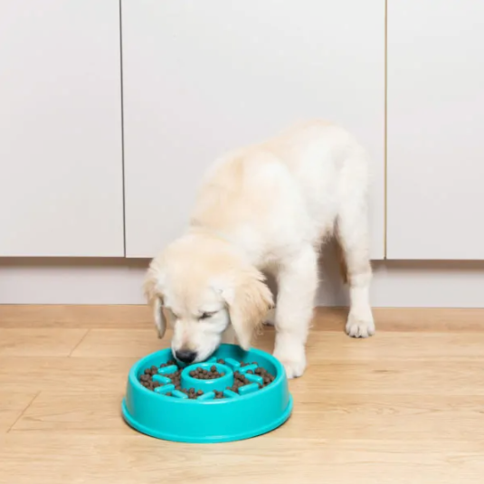 Slow feeder best sale dog bowl walmart