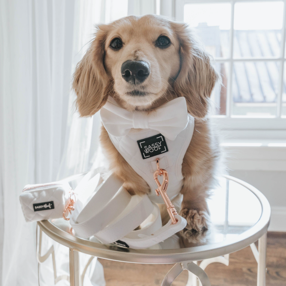 Dog wedding 2025 ring holder