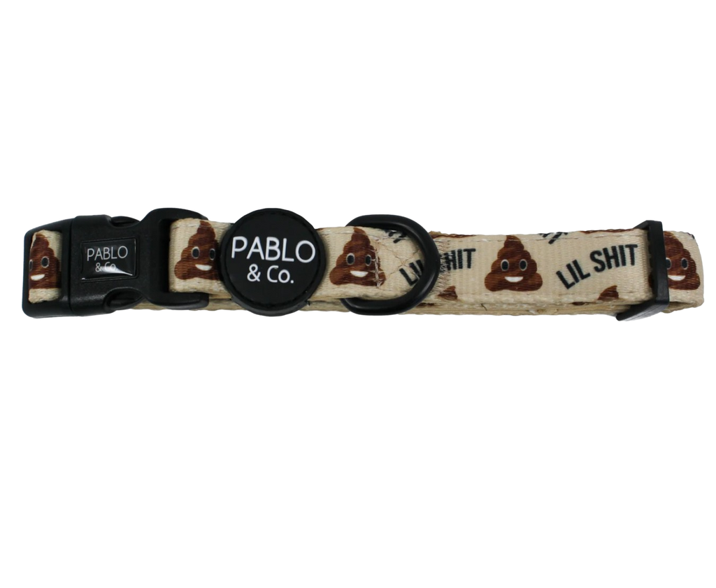 Pablo and Co lil shit dog collar