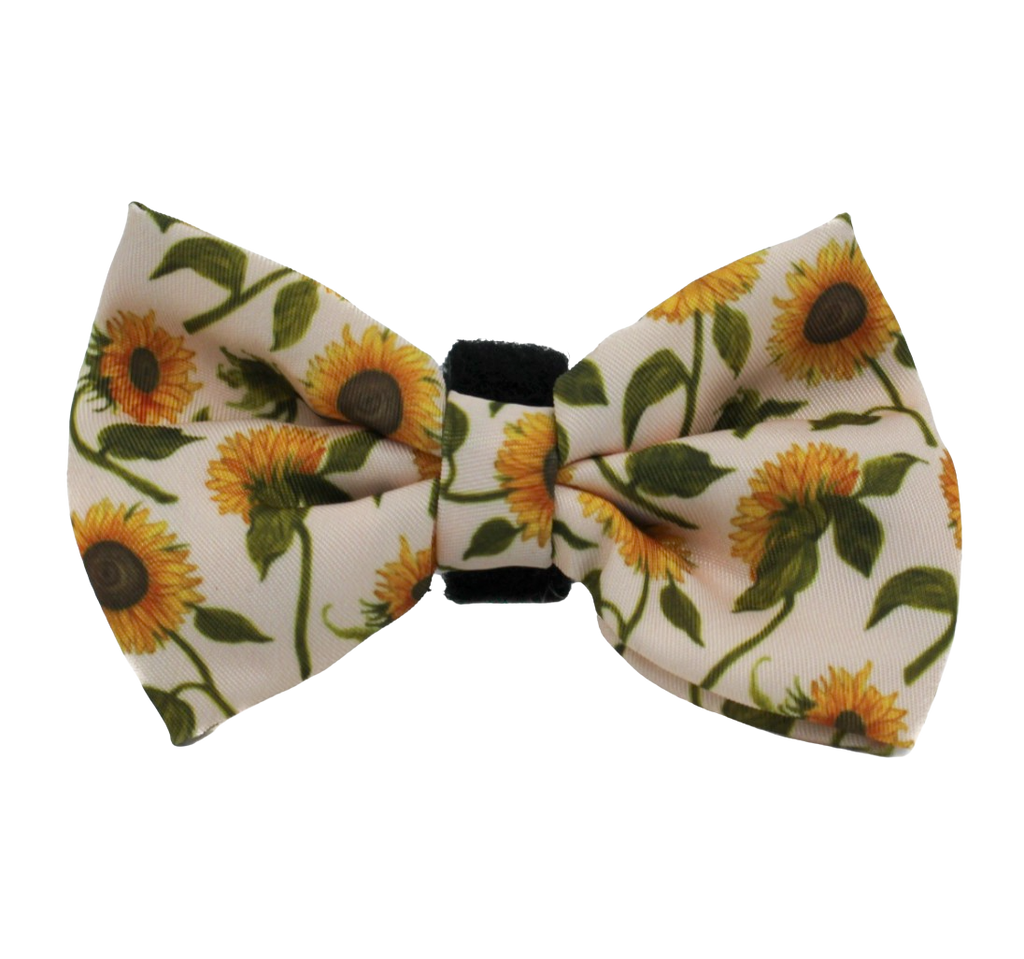Pablo and Co dog bow - Sunflowers