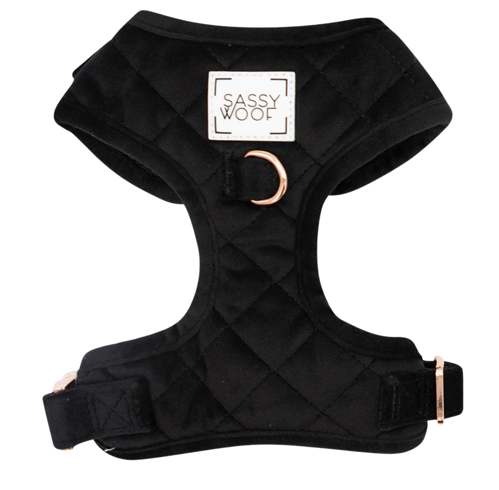 Sassy Woof adjustable dog harness - I do, too - Black