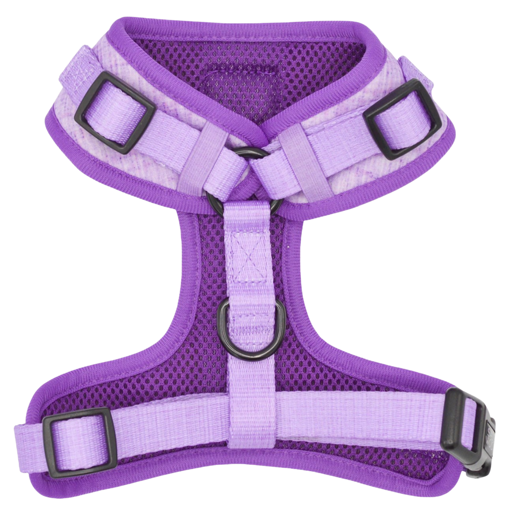 Sassy Woof adjustable dog harness - Aurora