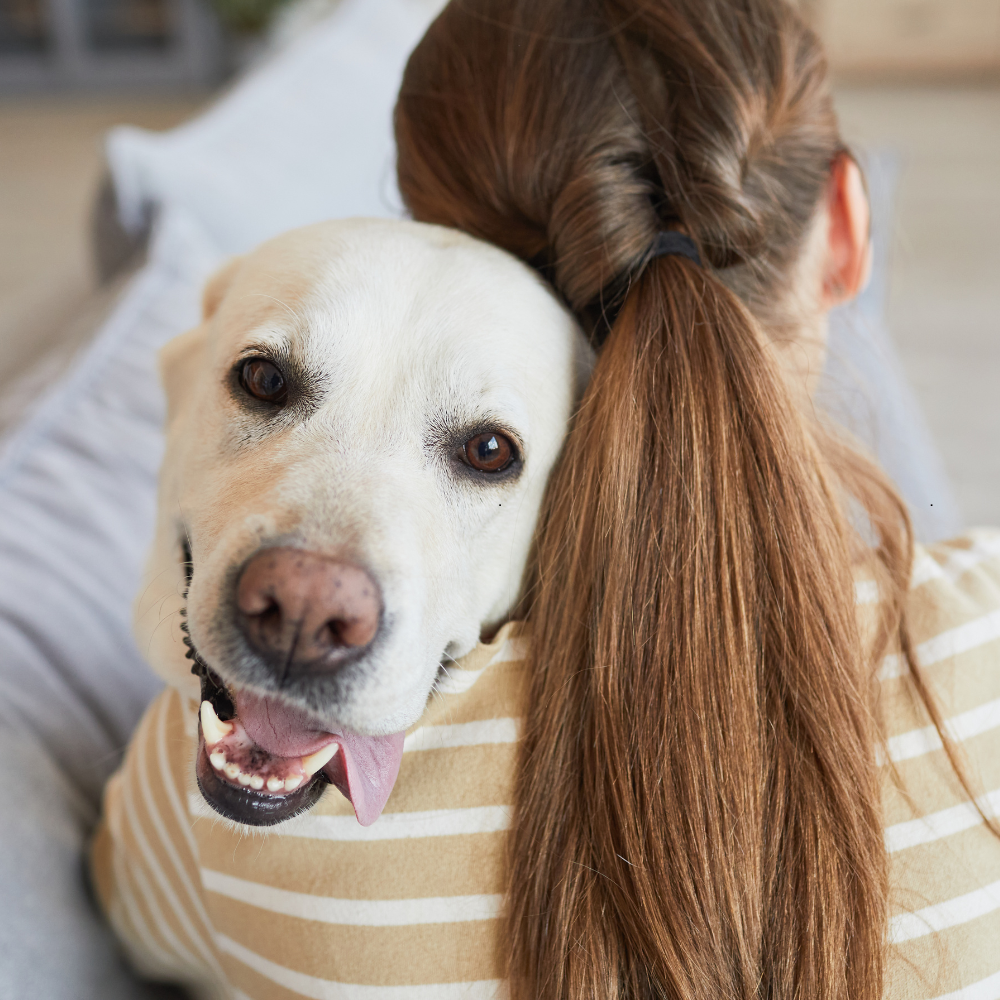 How dogs help us through the winter blues