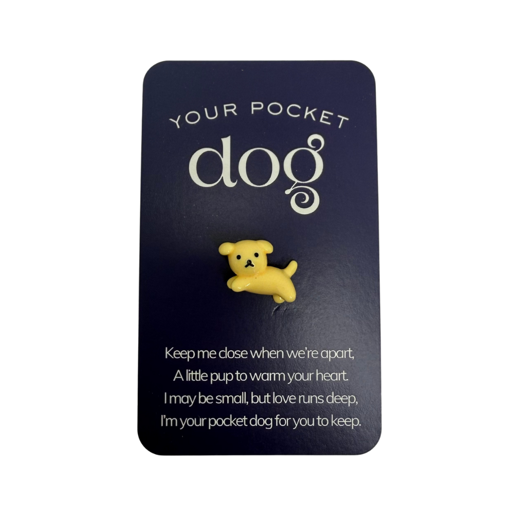 Pocket dog
