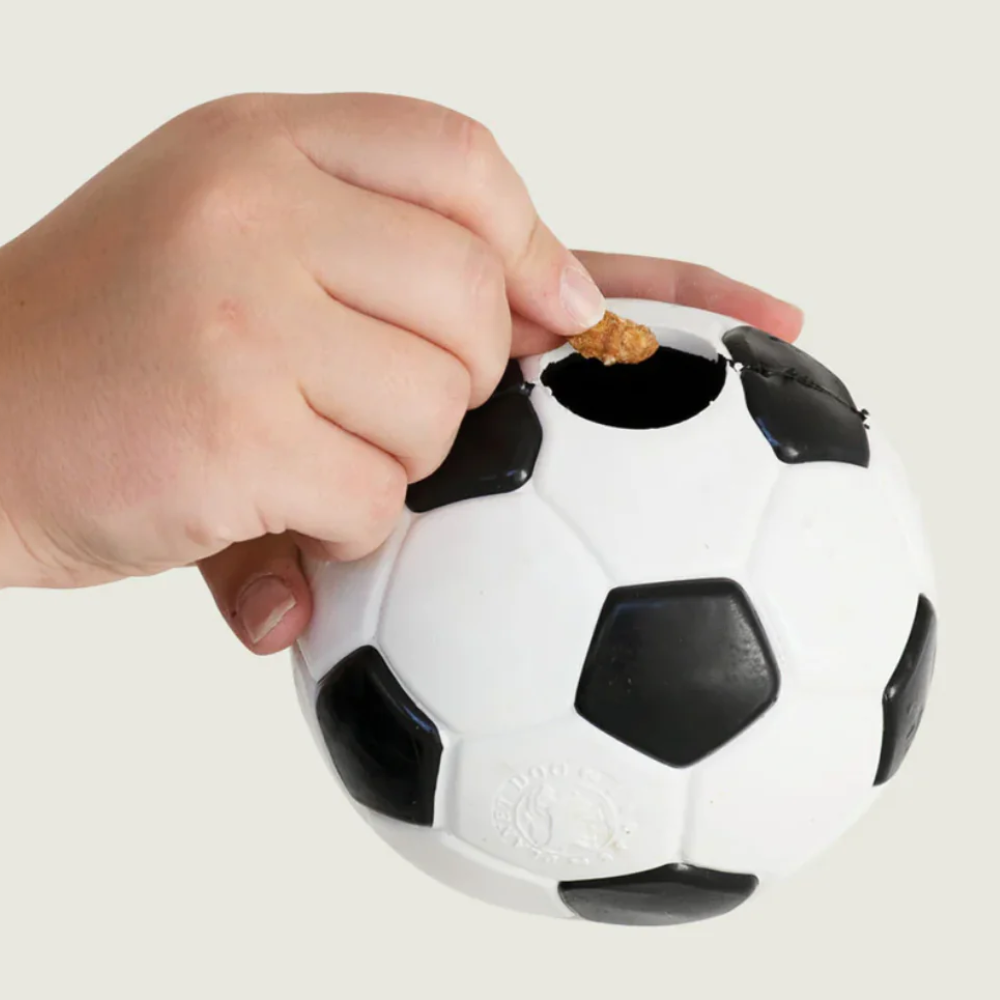 Planet Dog Orbee-Tuff Soccer Ball Dog Toy