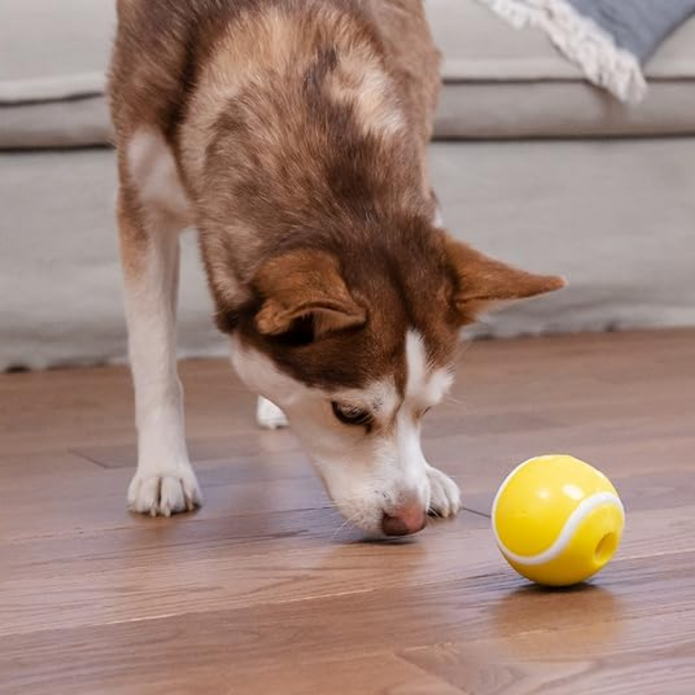 Planet Dog orbee-tuff tennis dog ball