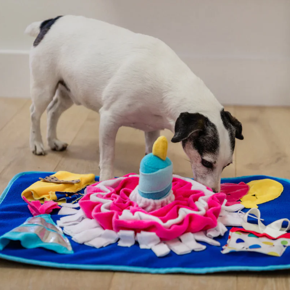 P.L.A.Y woof day celebration dog snuffle mat