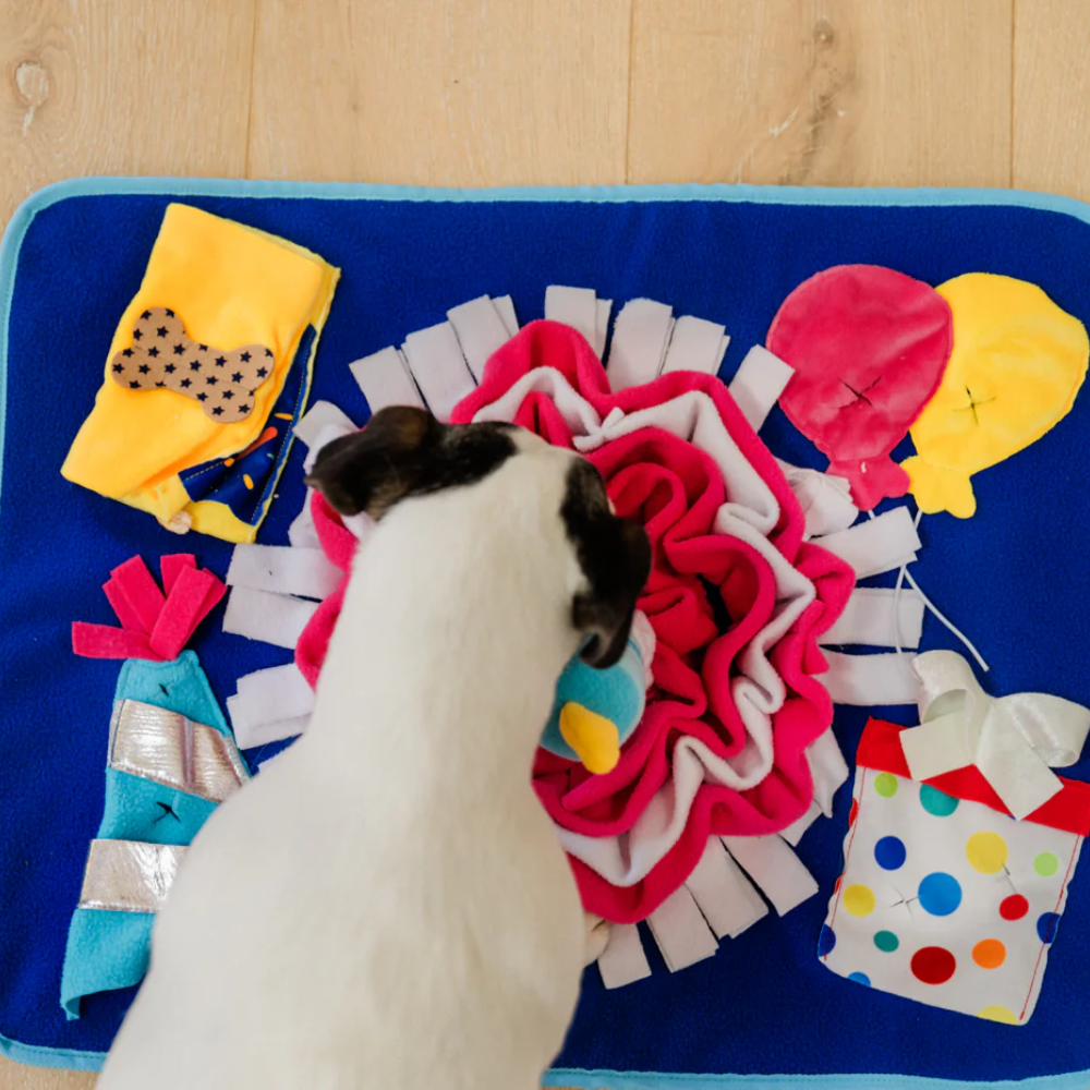 P.L.A.Y woof day celebration dog snuffle mat