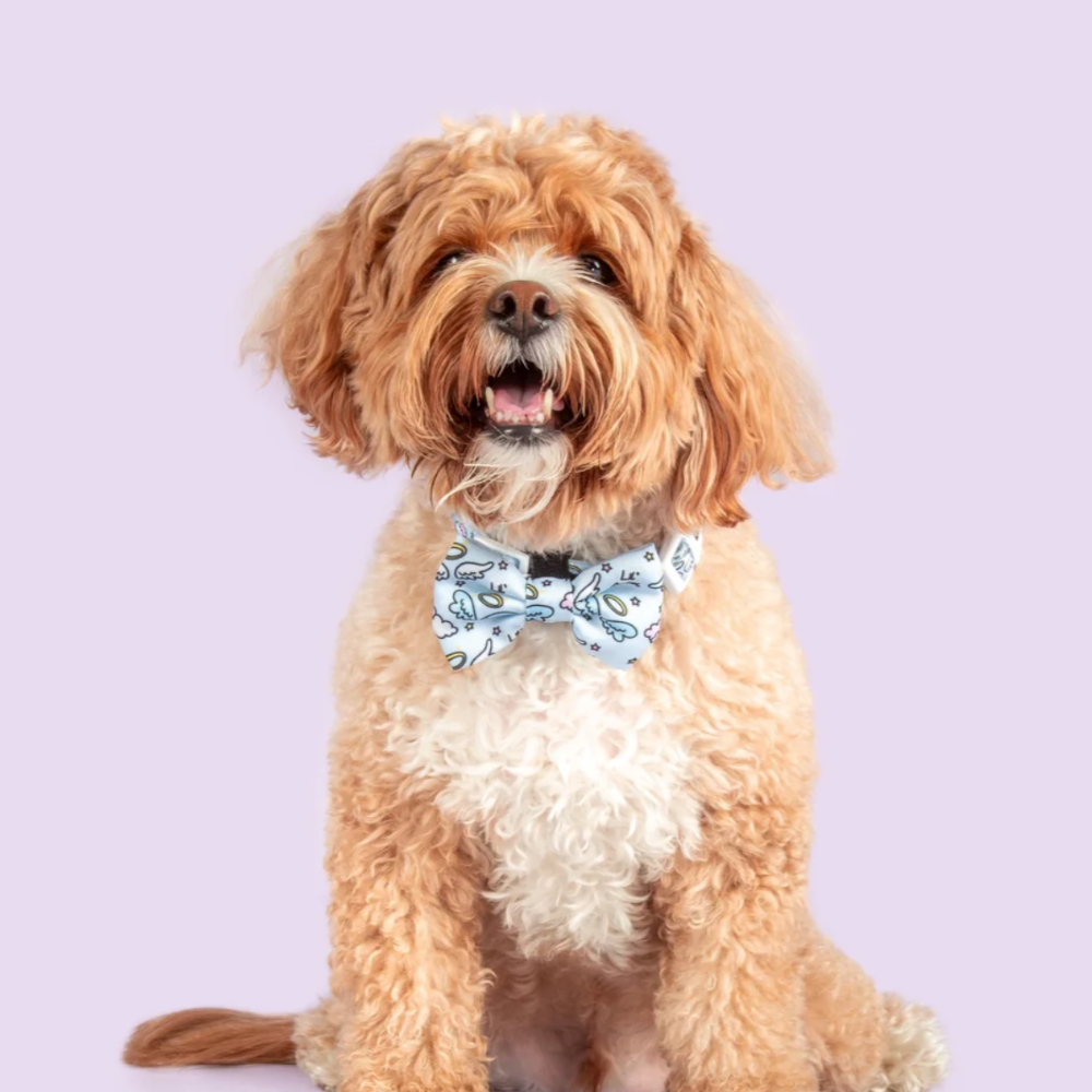 Big and Little Dogs dog bow tie - lil angel