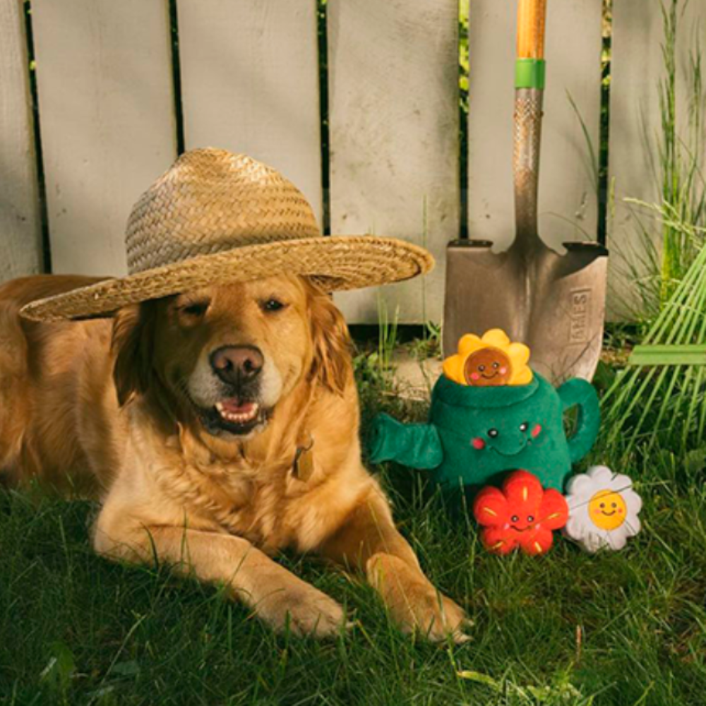 Zippy Paws Burrow Interactive Dog Toy - Watering Can and 3 Flowers