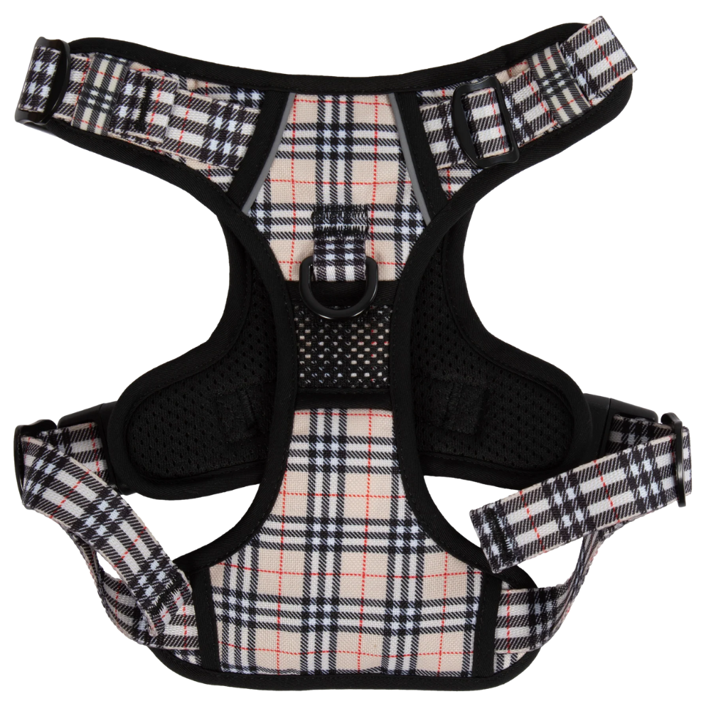 Big and Little Dogs all-rounder harness - Nova plaid