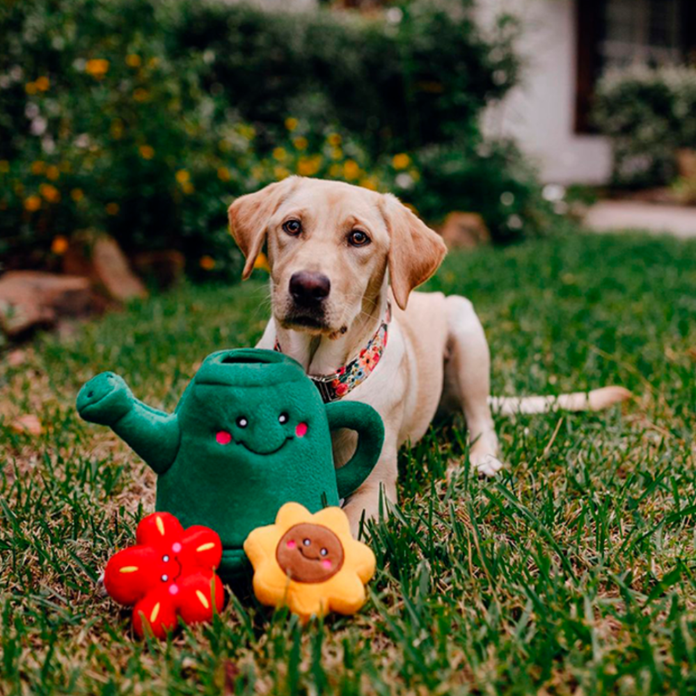 Zippy Paws Burrow Interactive Dog Toy - Watering Can and 3 Flowers