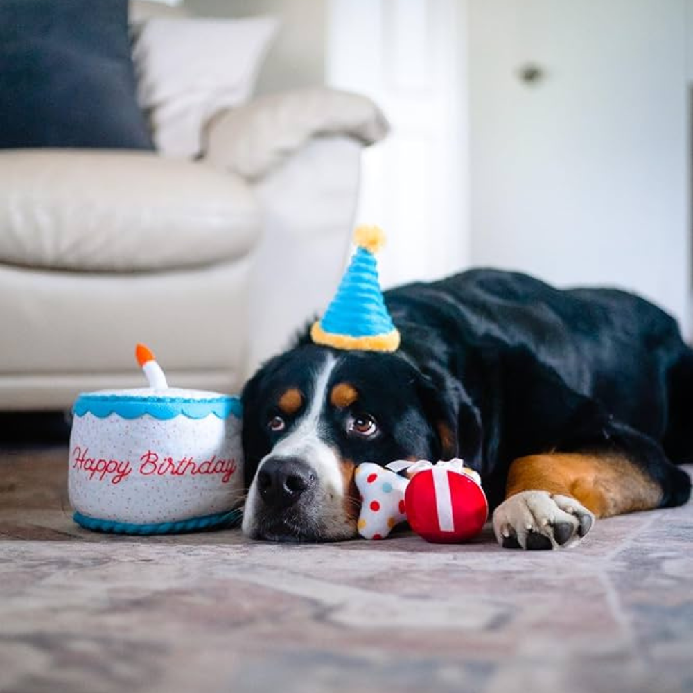 Zippy Paws Burrow Interactive Dog Toy - Birthday cake