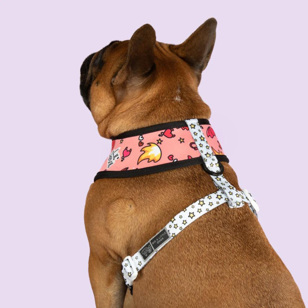Big and Little Dogs reversible harness - Lil angel vs lil devil