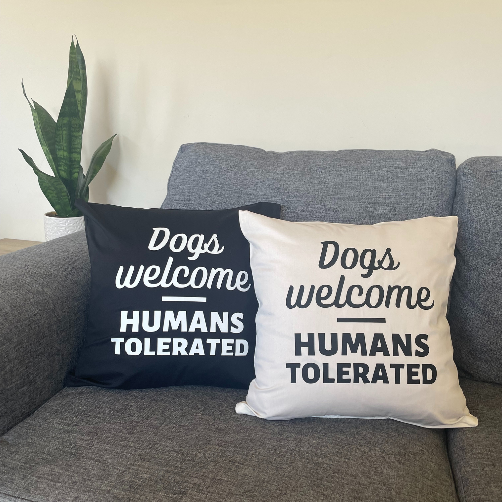 Dogs welcome, humans tolerated cushions