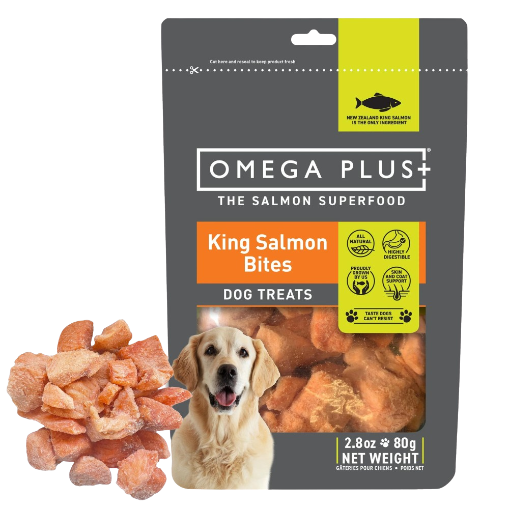 Omega Plus king salmon bites - dog treats