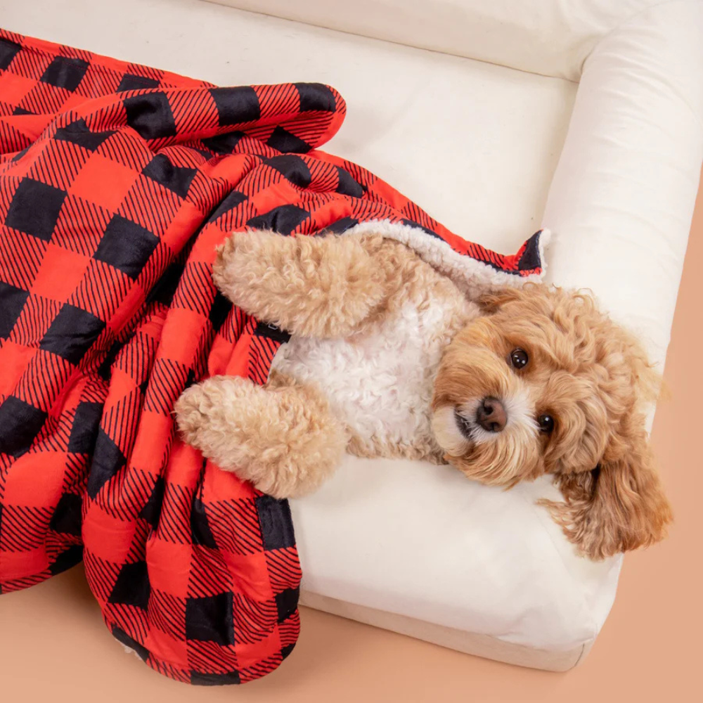 Big and Little Dogs plush pet blanket - Plaid to the bone