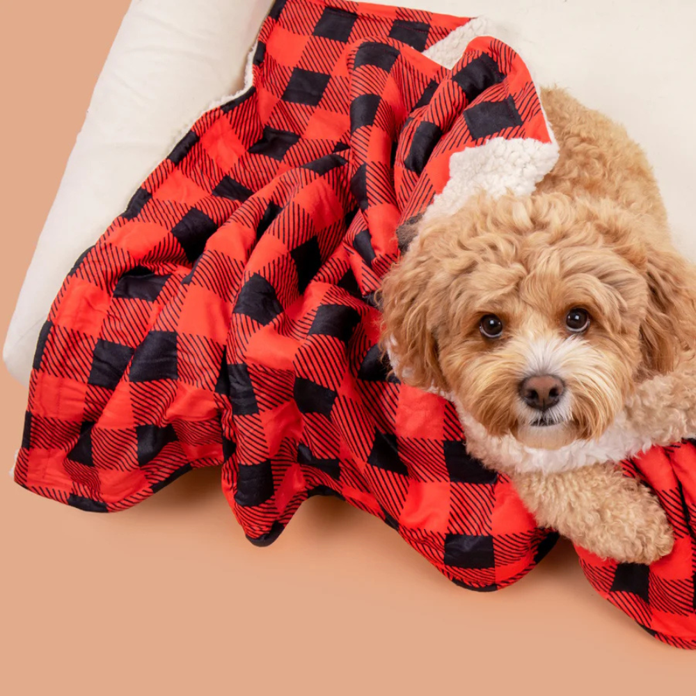 Big and Little Dogs plush pet blanket - Plaid to the bone