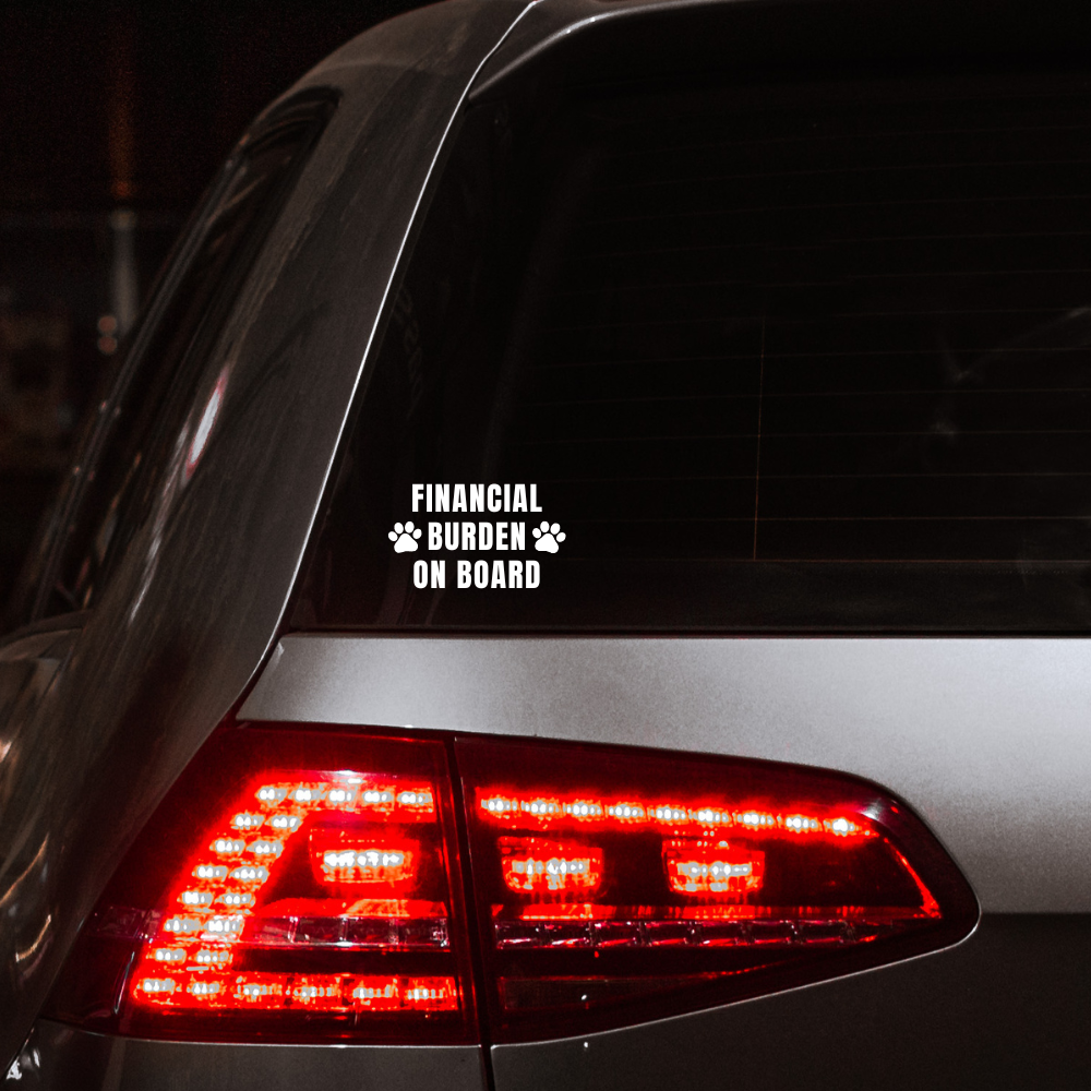 I'm not smiling at you, i'm smiling at your dog decal