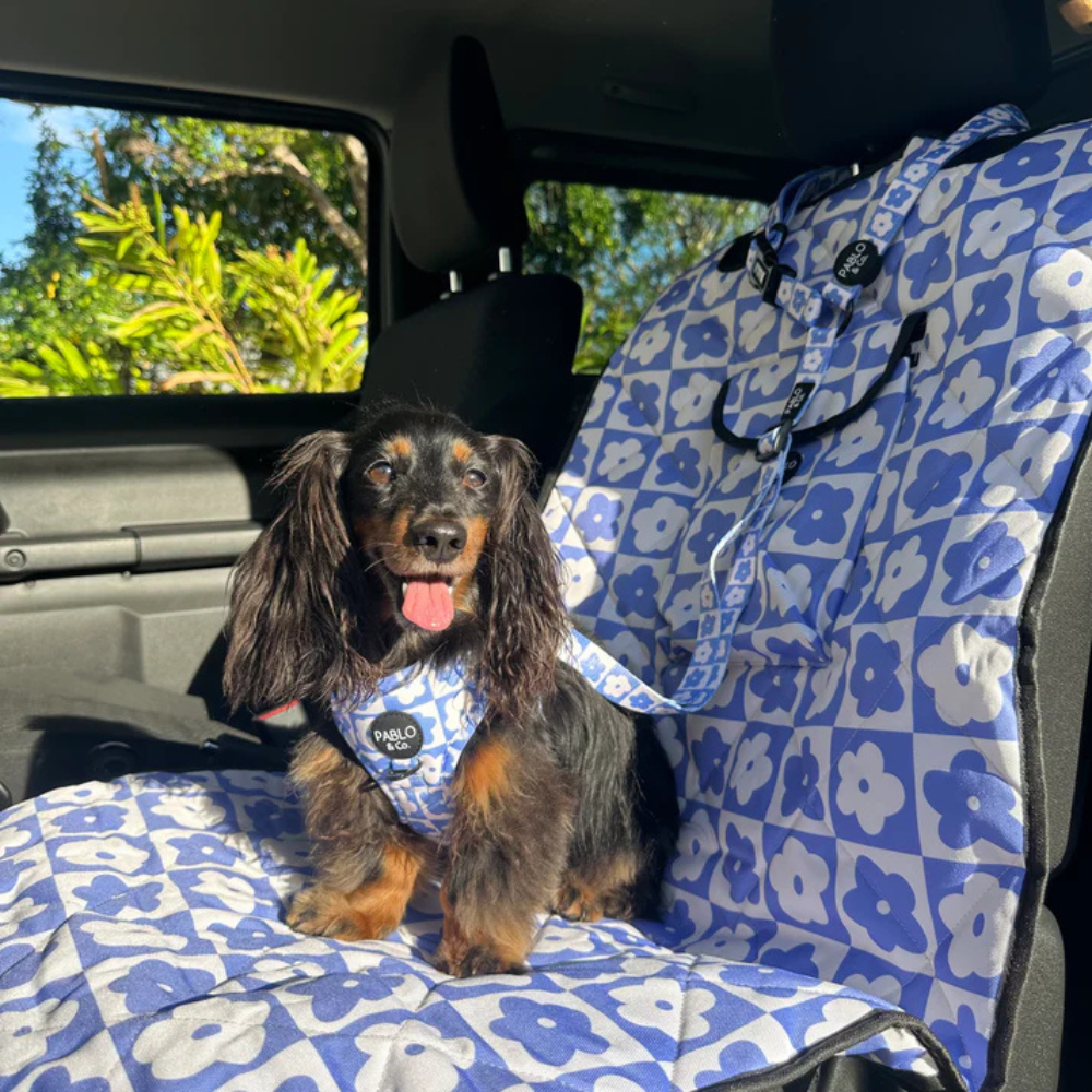 Pablo and Co headrest car restraint - Blue checkered daisies