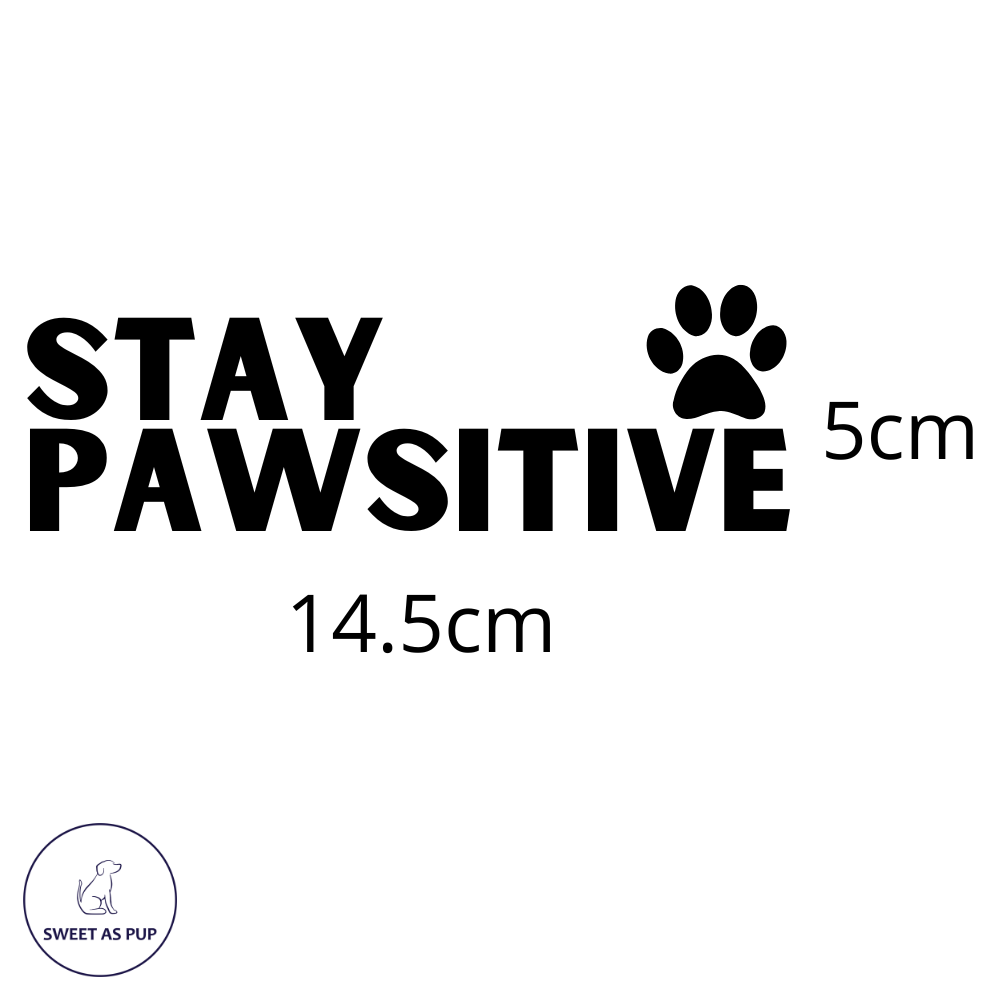 Stay pawsitive decal - Size