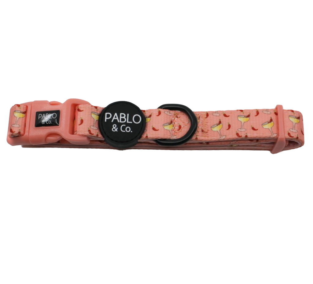 Pablo and Co dog collar - Spicy margarita