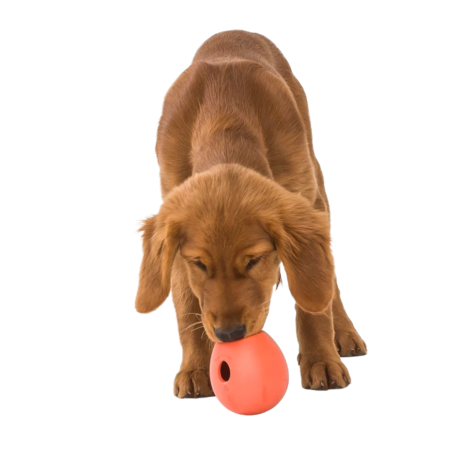 West Paw Zogoflex Rumbl dog feeder - orange