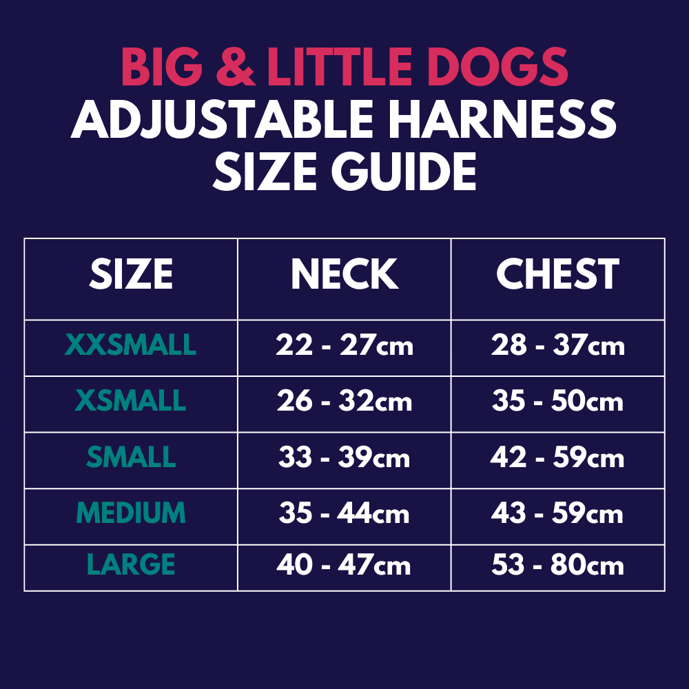 Big and Little Dogs adjustable harness - It's my barkday
