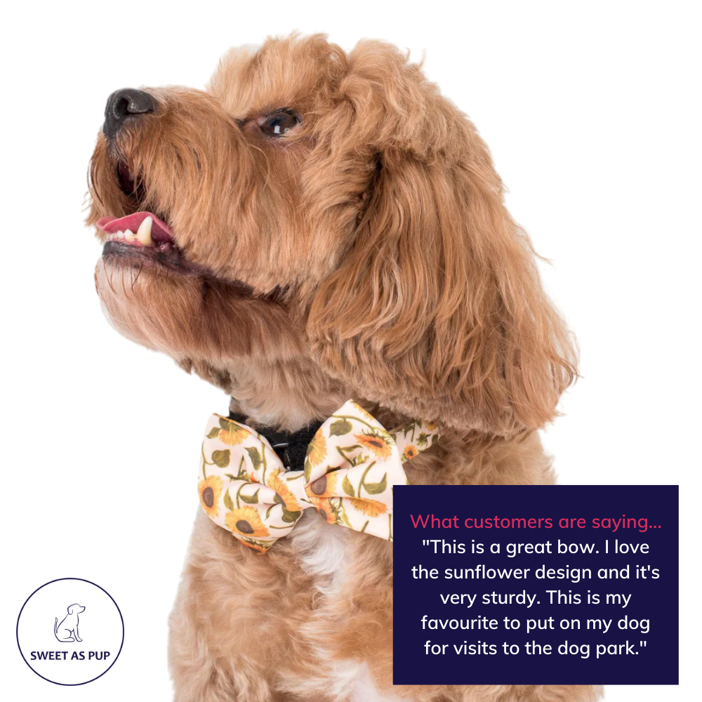 Pablo and Co dog bowtie - sunflowers