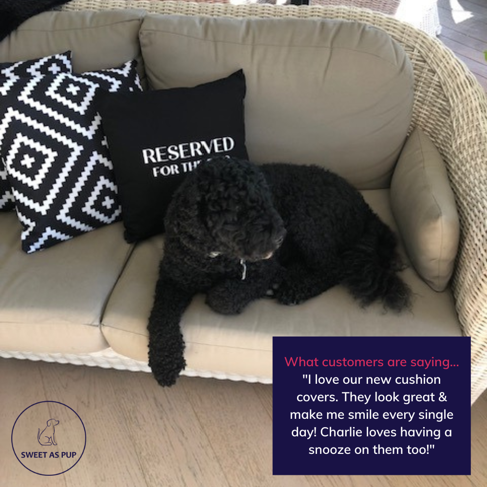 It's A Dog Vibe cushion - Reserved for the dog