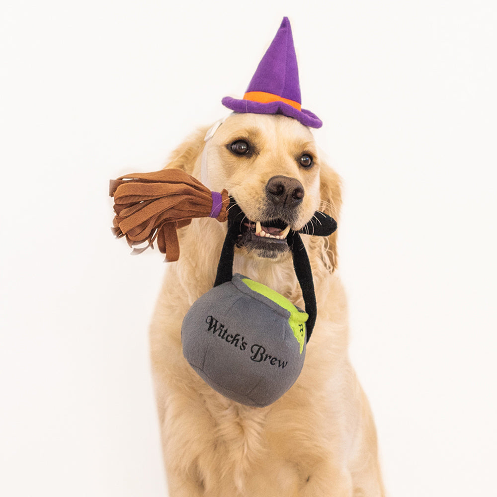 Zippy Paws Halloween costume kit - Witch