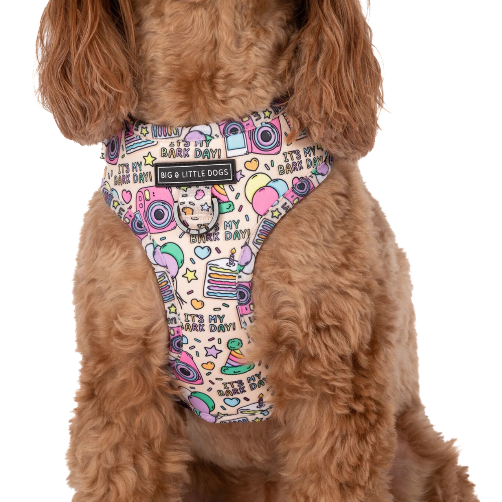 Big and Little Dogs adjustable harness | It's my barkday