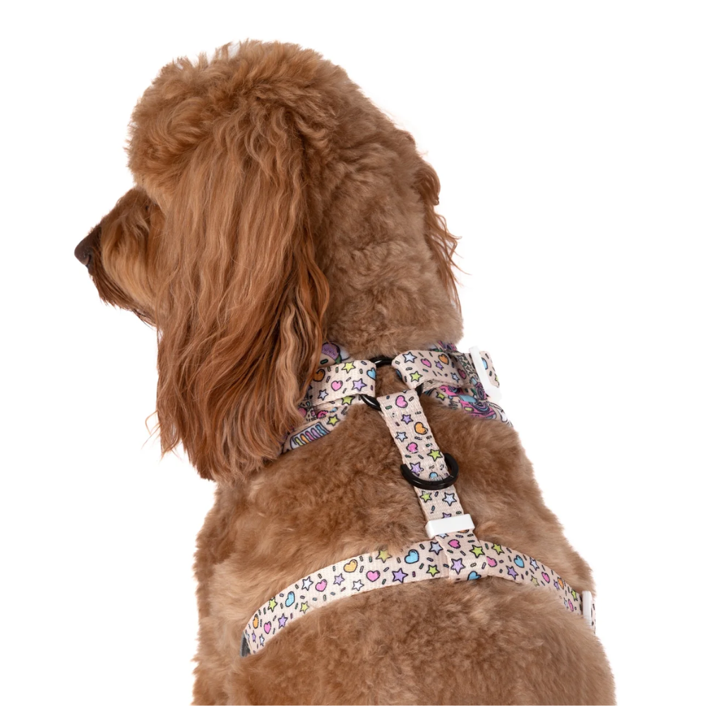 Big and Little Dogs adjustable harness | It's my barkday