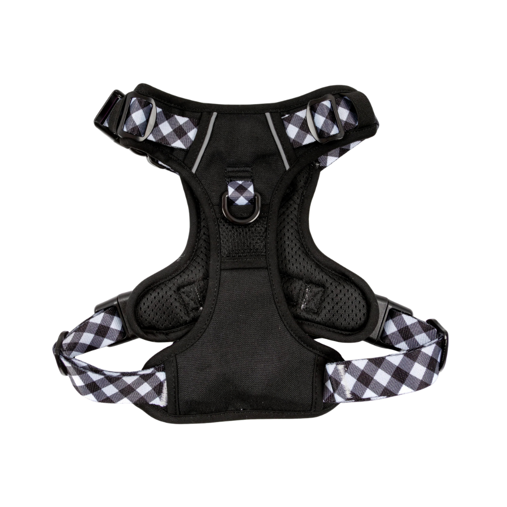 Big & Little Dogs all-rounder harness - Black