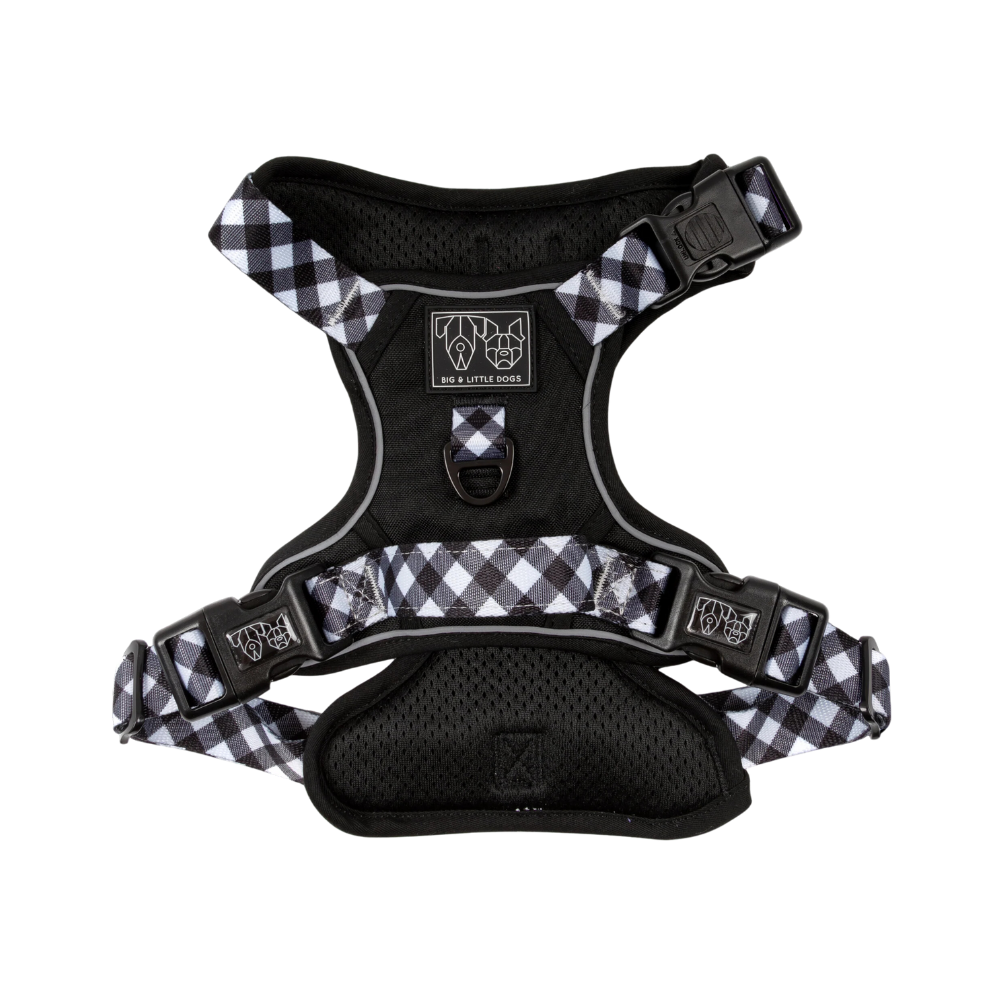 Big & Little Dogs all-rounder harness - Black