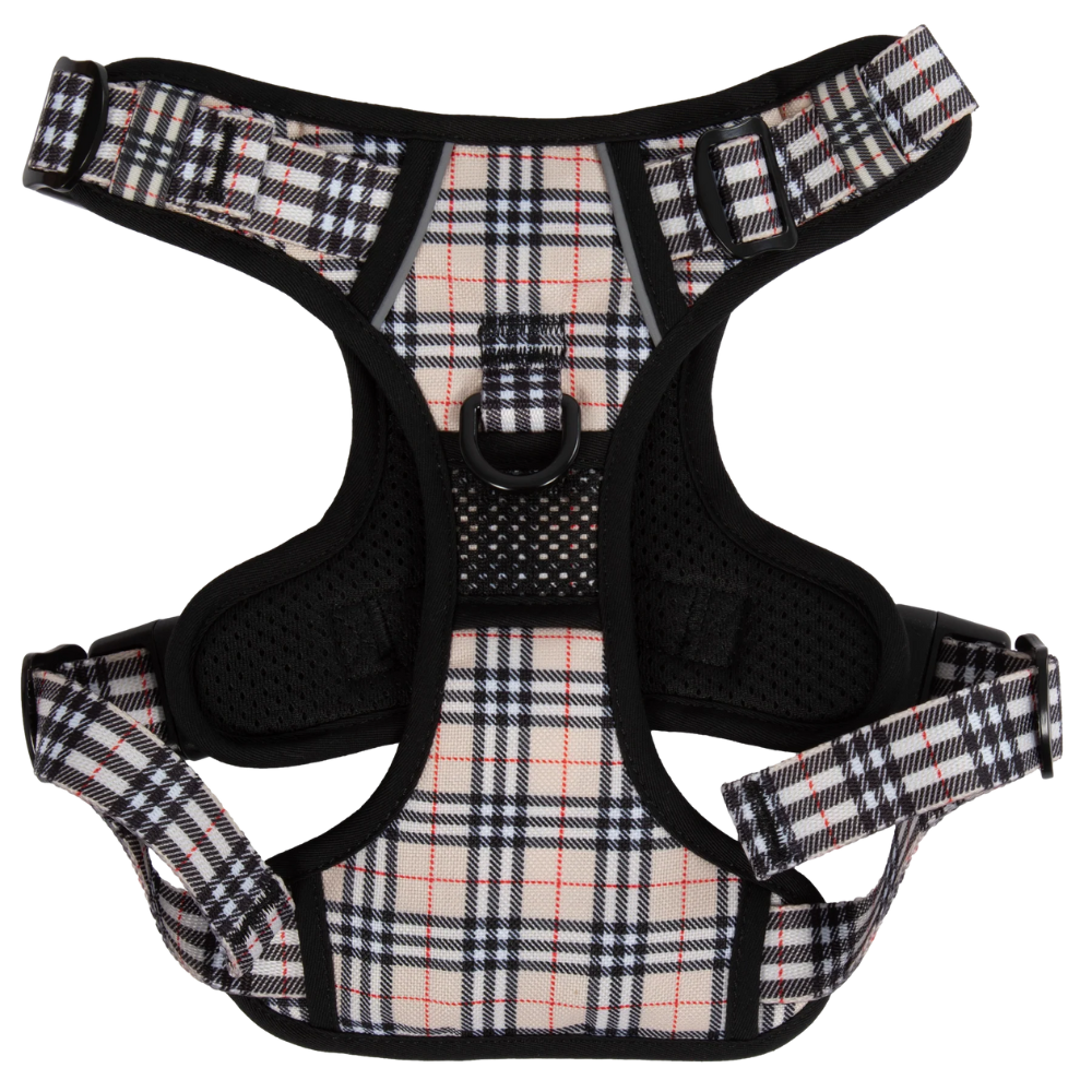 Big & Little Dogs all-rounder harness | Nova plaid