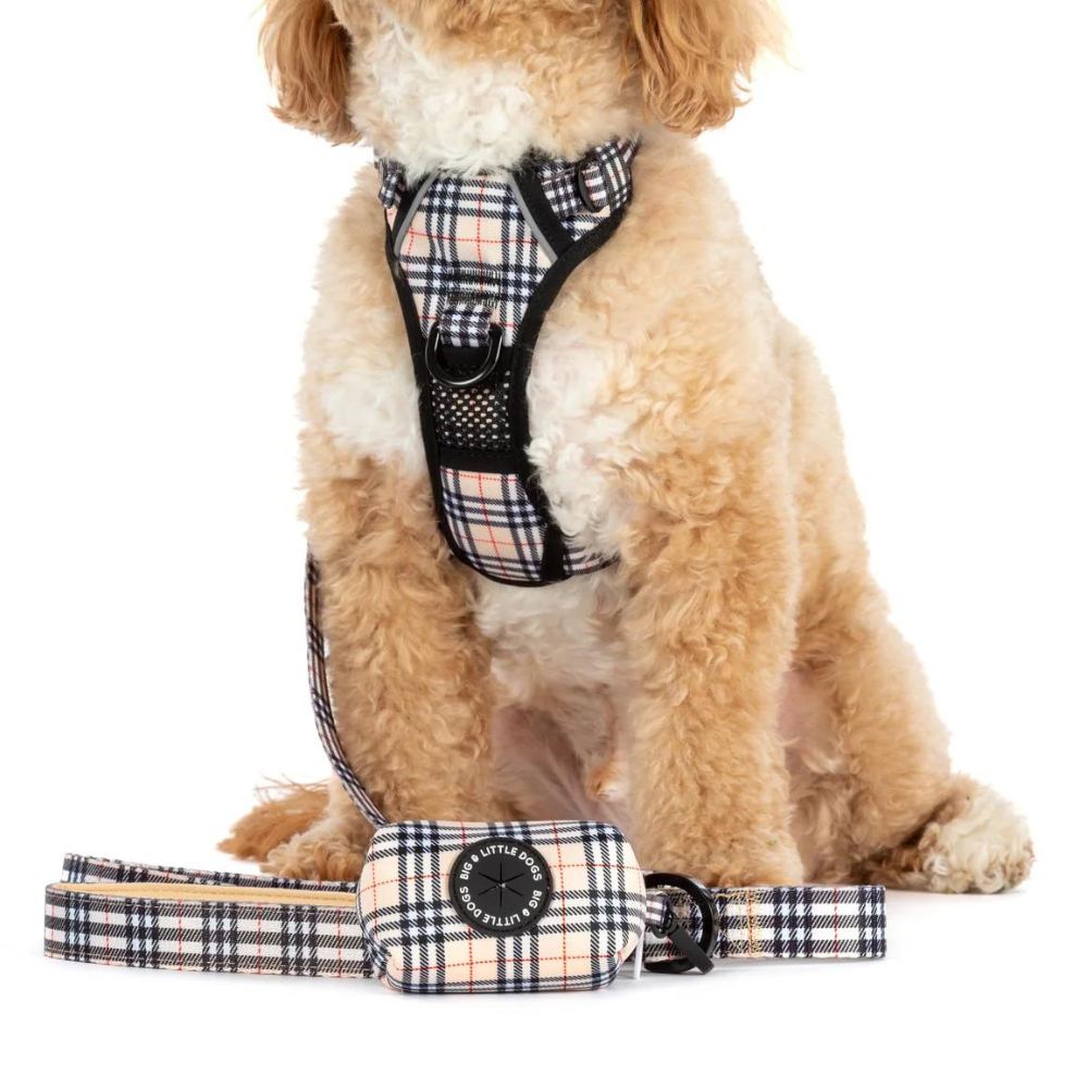 Big & Little Dogs all-rounder harness | Nova plaid