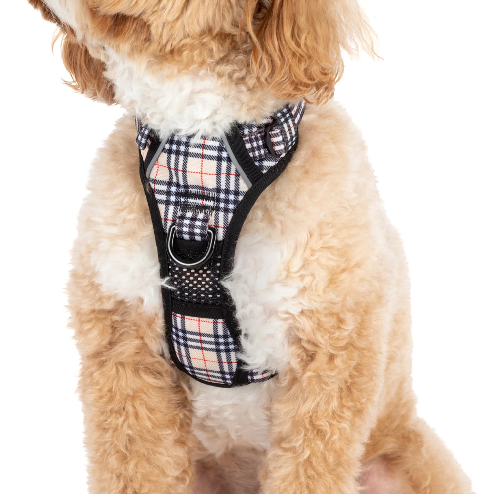 Big & Little Dogs all-rounder harness | Nova plaid