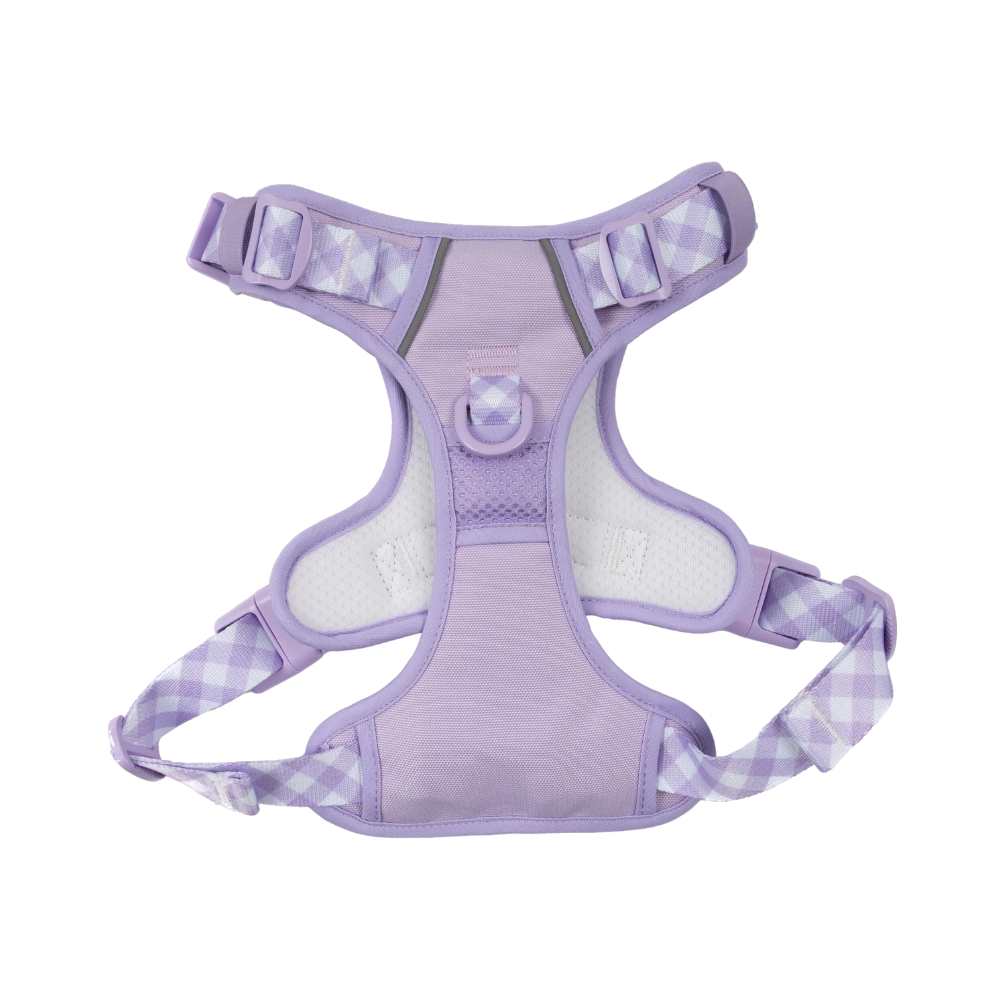 Big & Little Dogs all-rounder harness | Purple